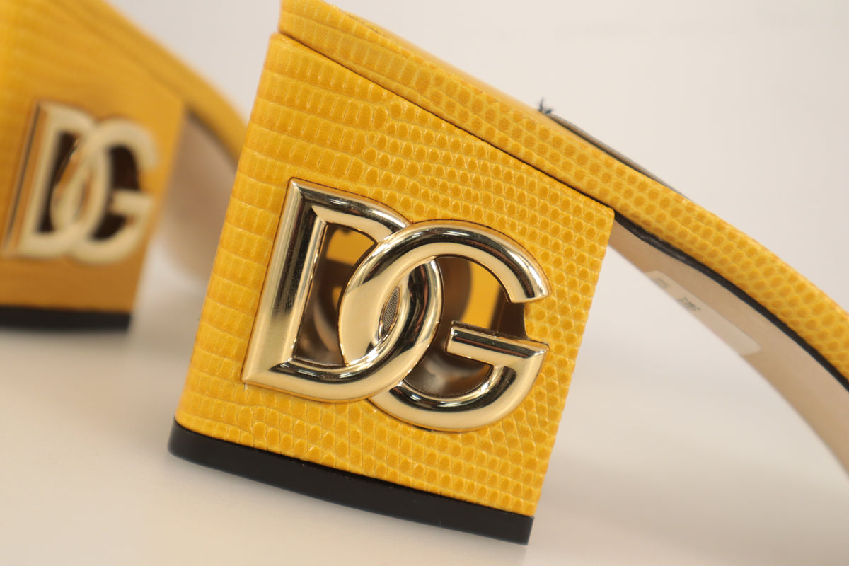 Dolce & Gabbana Mules – Echtheitsnachweis
