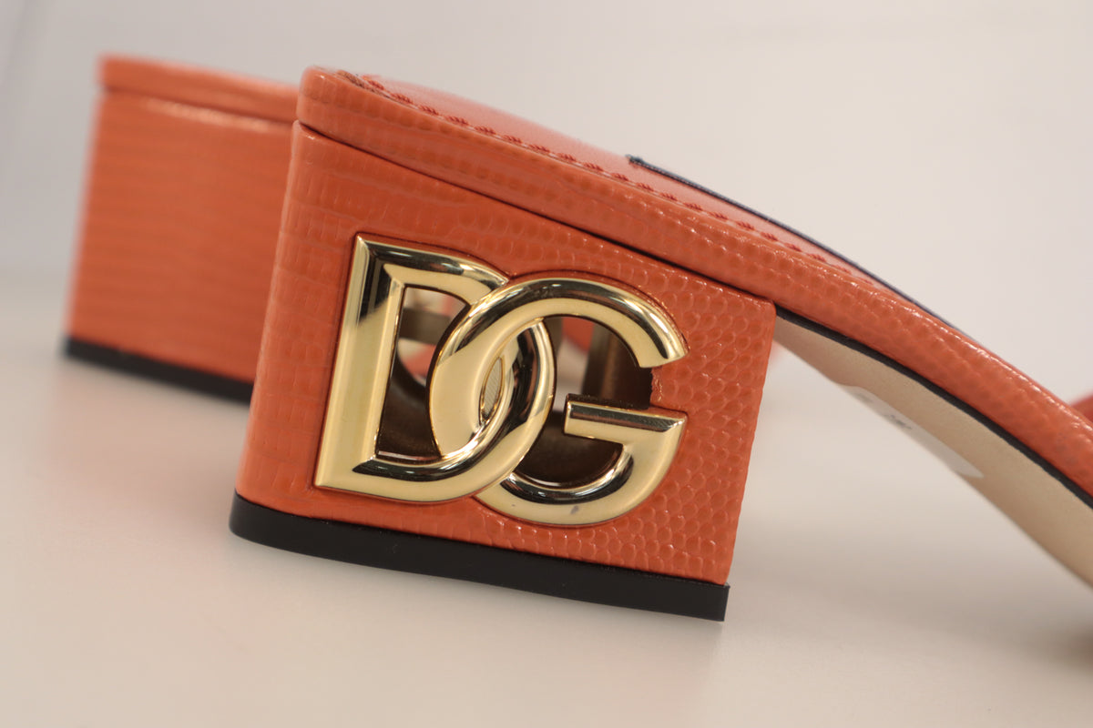 Dolce & Gabbana Mules – Echtheitsnachweis