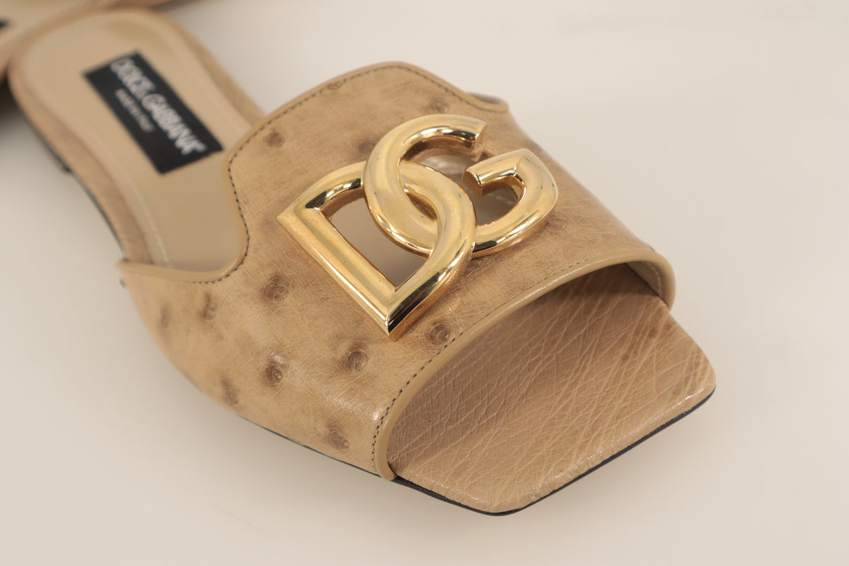 Dolce & Gabbana Pantoletten – Echtheitsnachweis