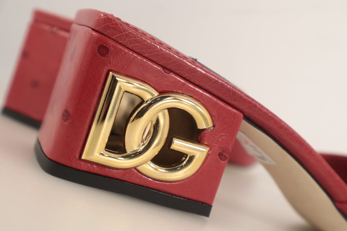 Dolce & Gabbana Mules – Echtheitsnachweis