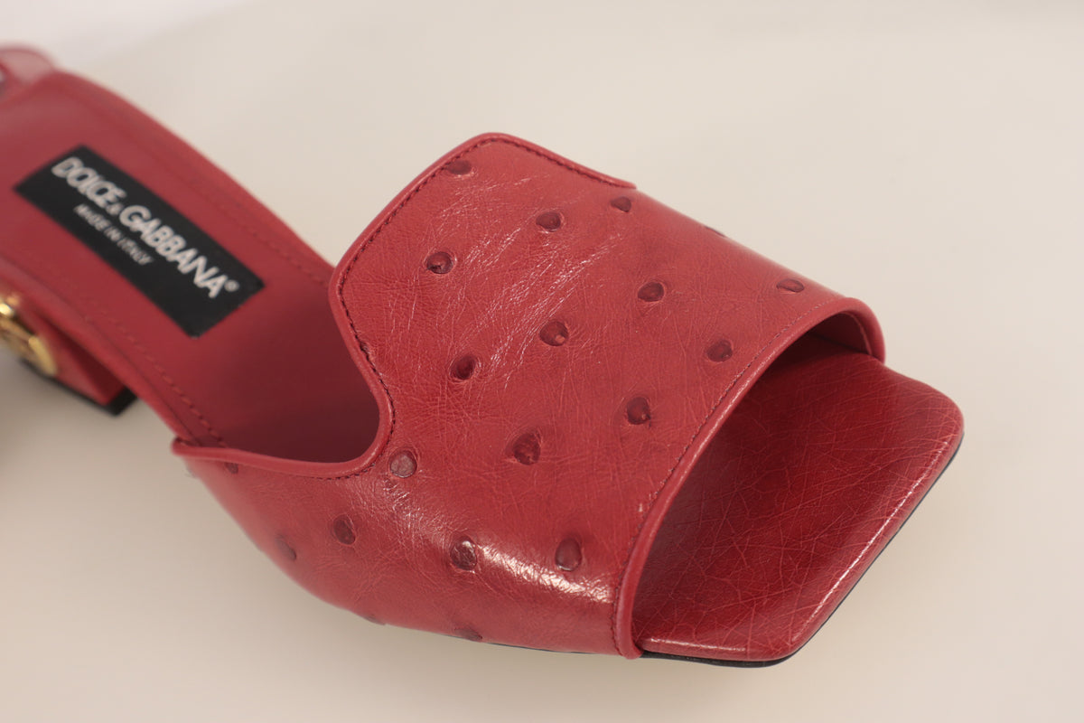 Dolce & Gabbana Mules – Echtheitsnachweis