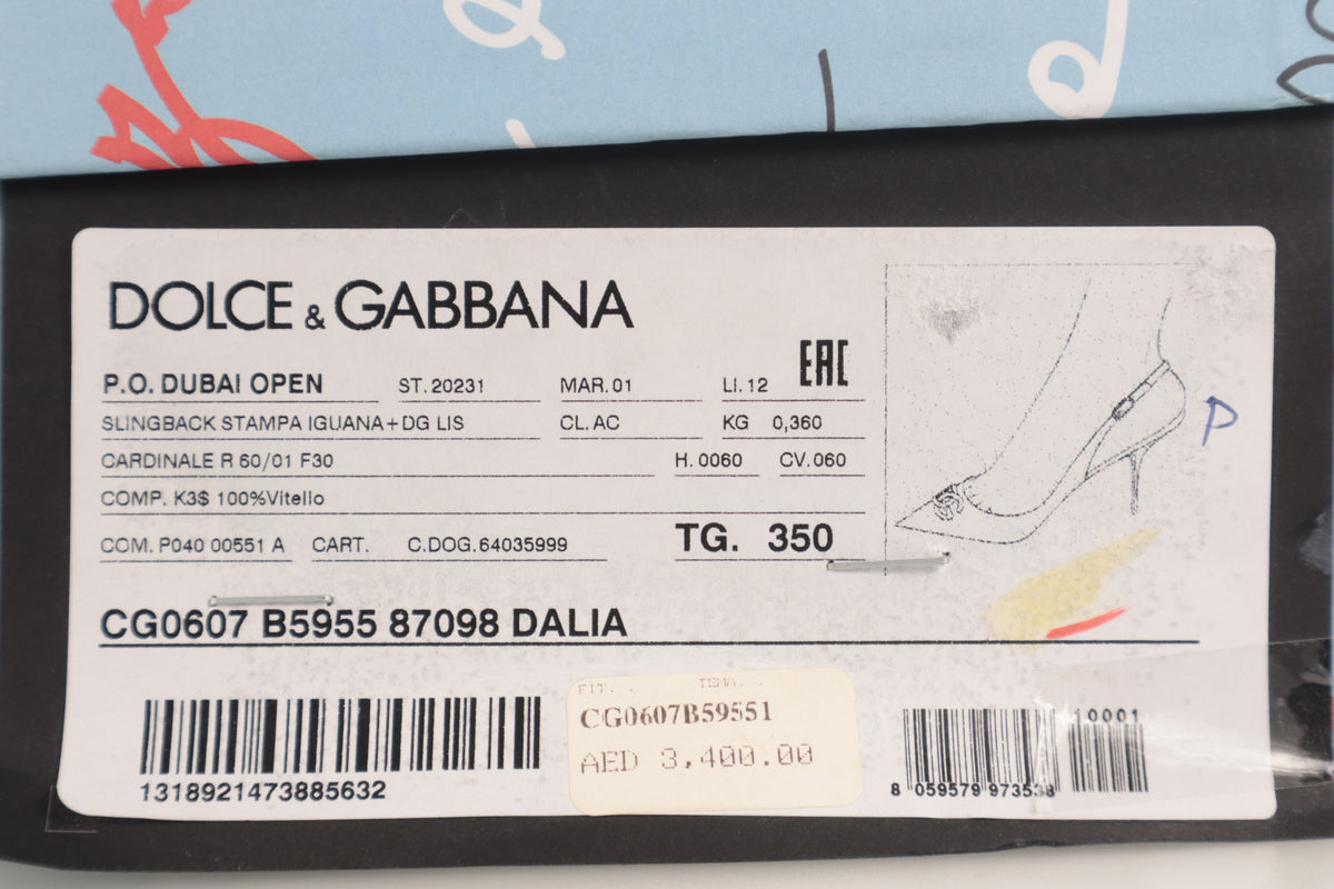 Dolce & Gabbana Slingback Pumps – Echtheitsnachweis